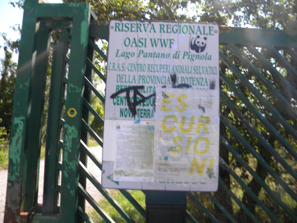 DSCN2702 .JPG